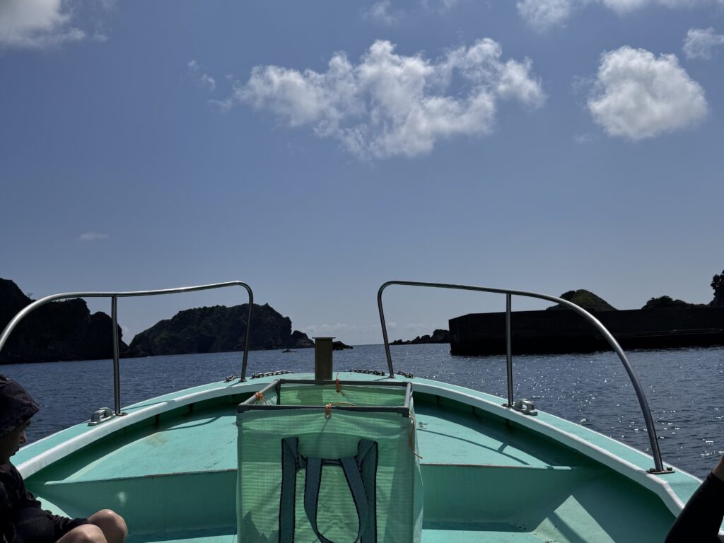 ヒリゾ浜行きの渡し船から見た南伊豆の青い海と断崖