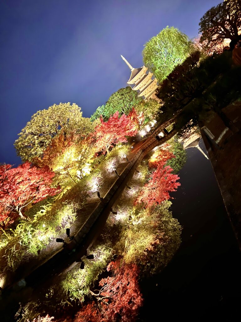 瓢箪池に映る五重塔と紅葉のライトアップ