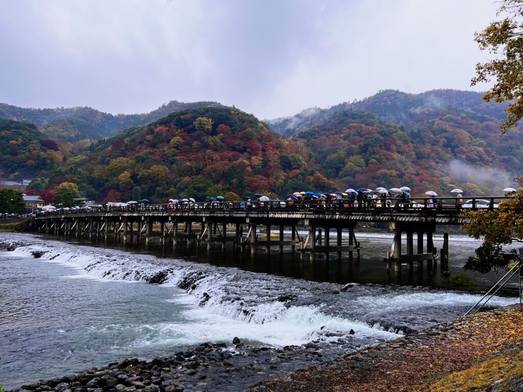 渡月橋を渡る観光客の背後に広がる紅葉の嵐山(雨の日)