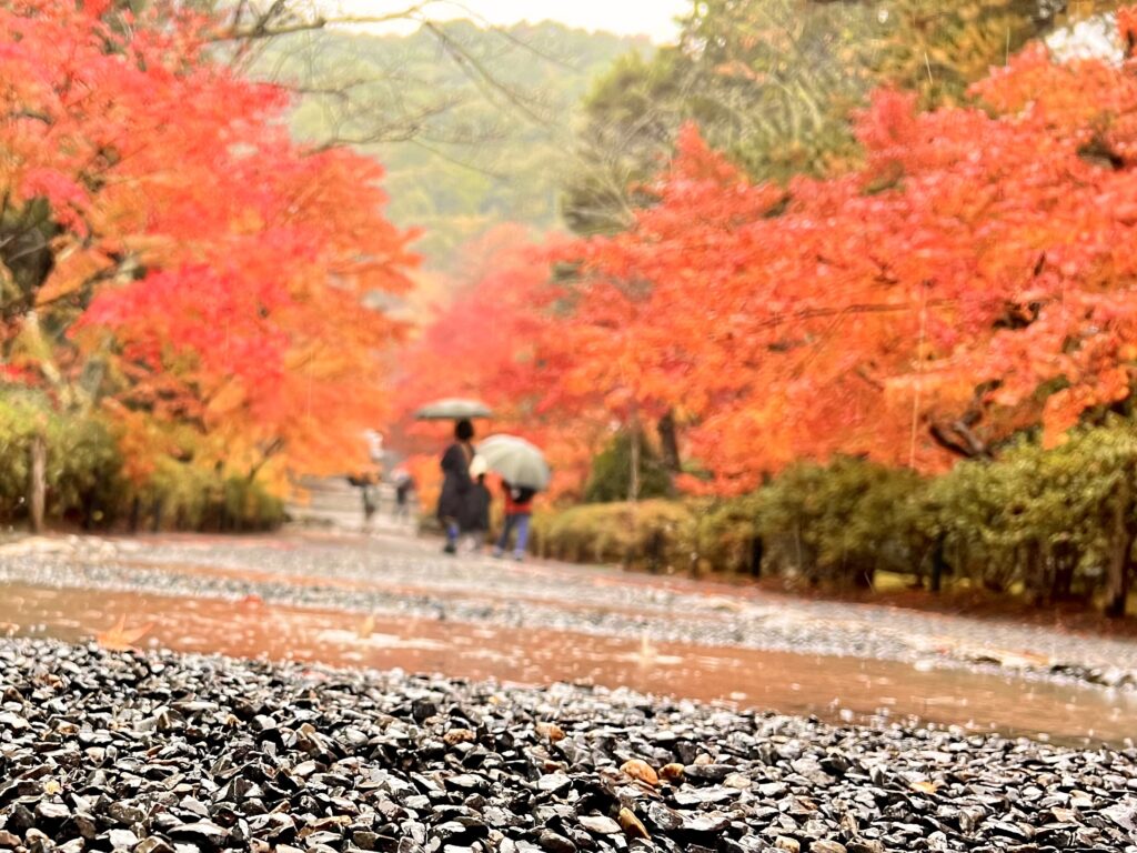 二尊院付近の石畳と色づいた紅葉の枝先