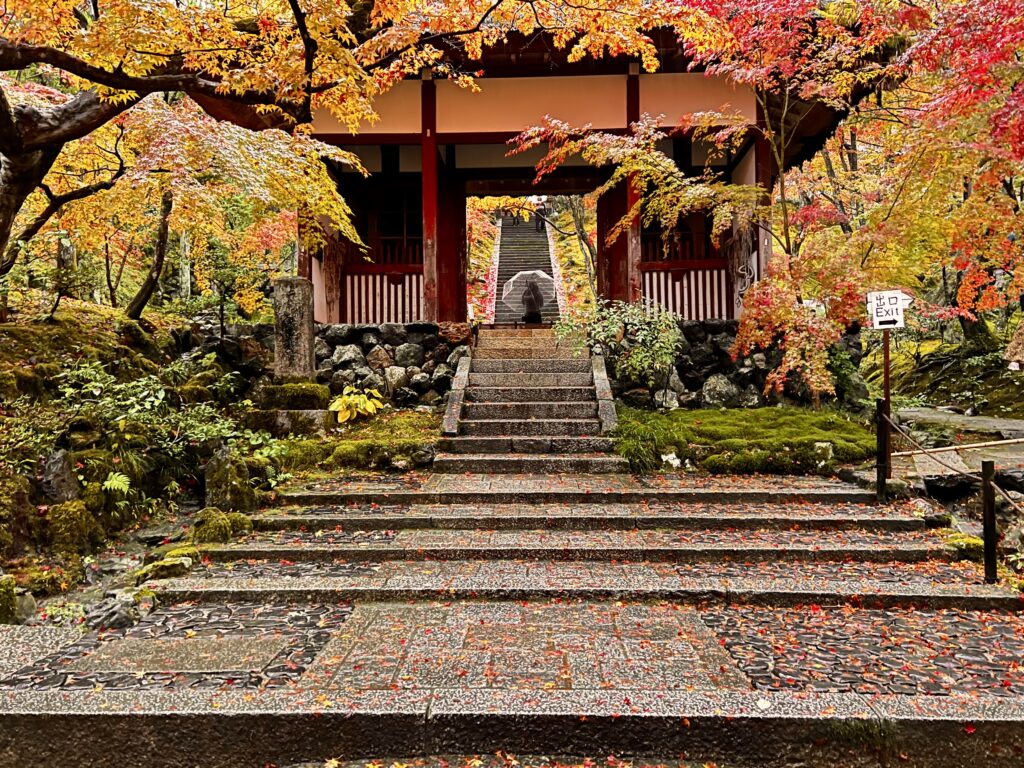 常寂光寺の入り口、仁王門と紅葉に彩られた石段