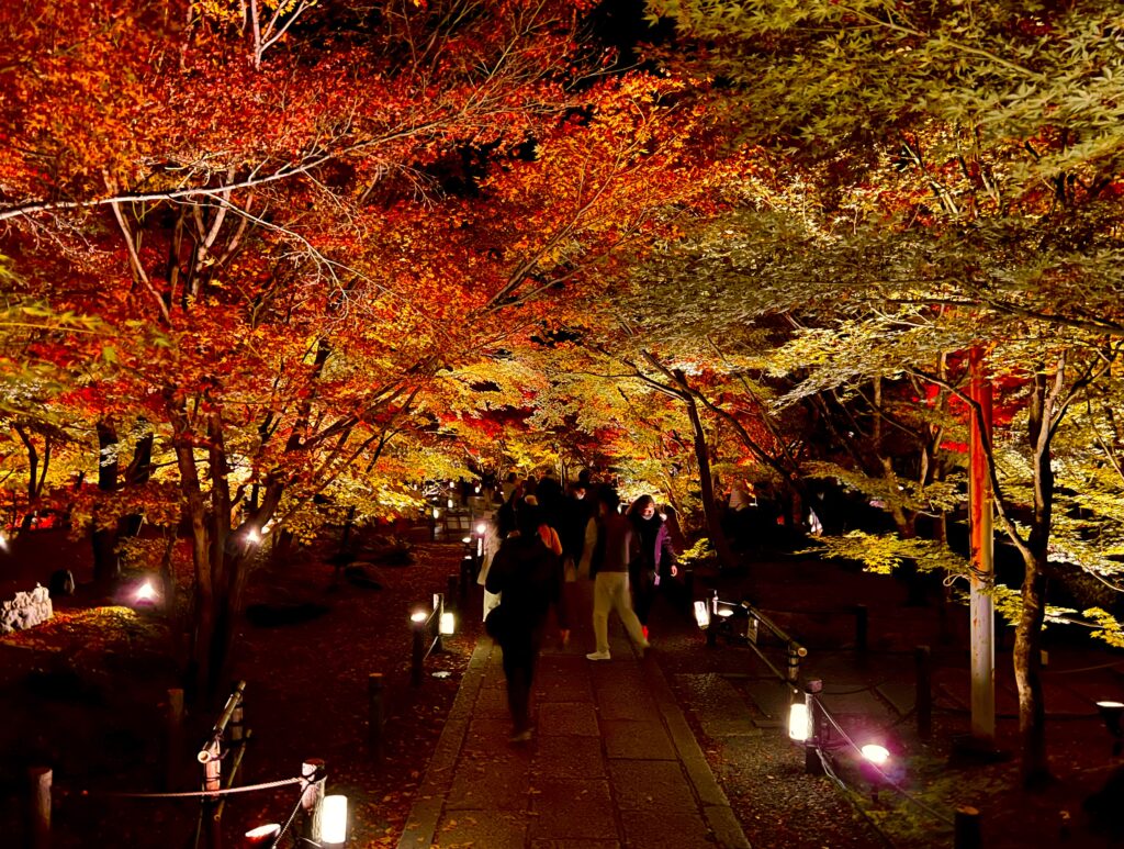 永観堂の紅葉ライトアップ、参道を歩く人々