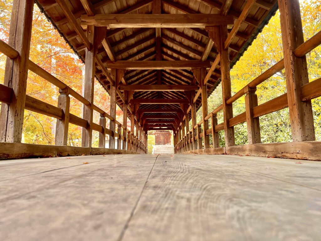 偃月橋、美しい木造の橋と周囲の紅葉