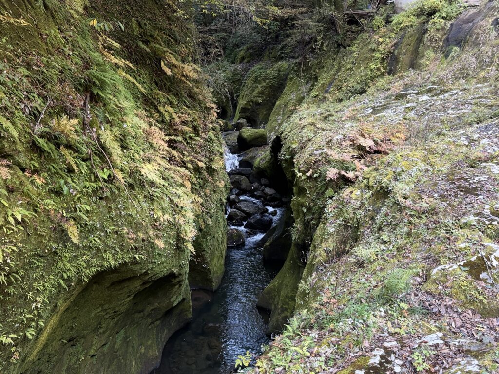 遊歩道の道中の光景①